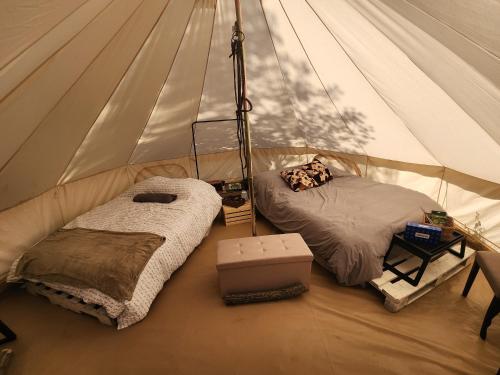 a tent with two beds in a room at #7 Whole New World in Drumheller