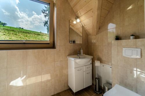 a bathroom with a sink and a window at DOMKI Szarotka, Rozeta i Parzenica in Ratułów