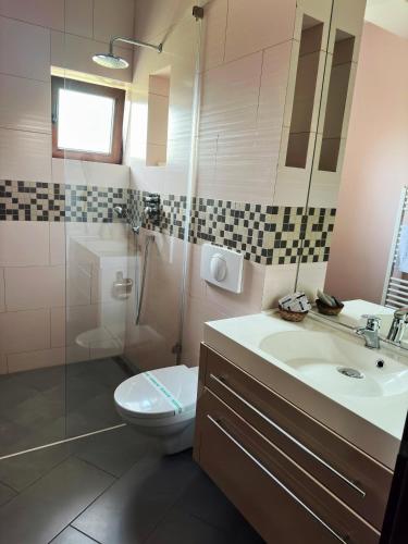 a bathroom with a toilet and a sink and a shower at Pensiunea Konfort in Baile Felix