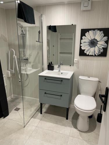 une salle de bain avec toilettes, lavabo et douche dans l'établissement La maison de l'olivier, à Poses