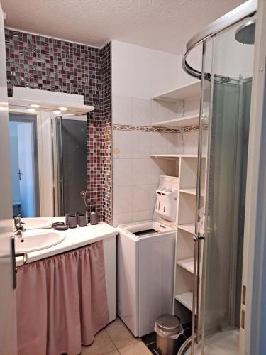 une petite salle de bain avec un lavabo et une douche dans l'établissement Maison au calme, à Camiers
