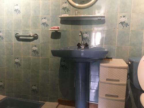 une salle de bain avec un lavabo et un mur sur le thème des araignées dans l'établissement Gîte à la ferme, à Rimont