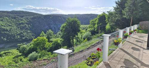 a balcony with flowers and a view of a valley at Apartments Stari Jasen Uvac in Družiniće