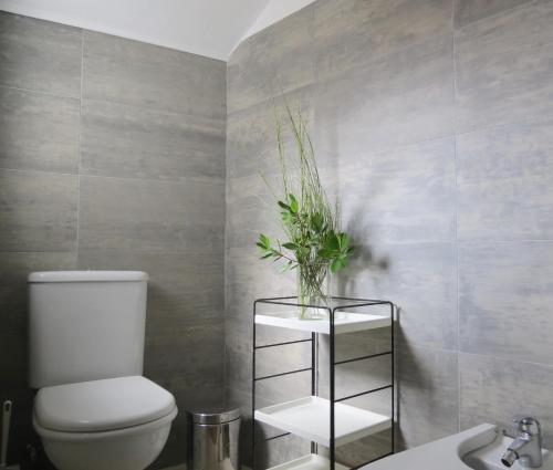 a bathroom with a toilet and a plant on a shelf at Casa do O - Alojamento Local in Tábua