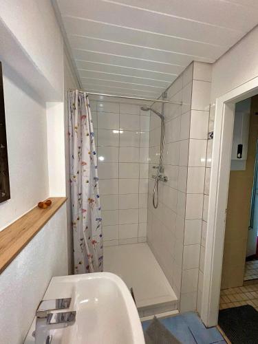 a bathroom with a shower and a sink at Luckenberg in Fulda