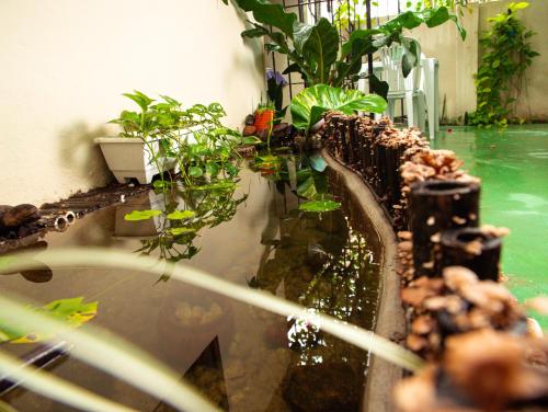 una fuente de agua con plantas en una habitación en Pousada Residencial Porto de Galinhas en Porto De Galinhas