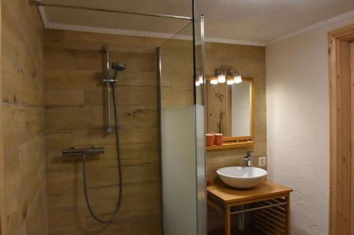 a bathroom with a shower and a sink at Gîte équestre Au village 45 in Fontenais