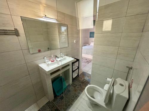 a bathroom with a toilet and a sink and a mirror at Sofia's Studio in Pollonia