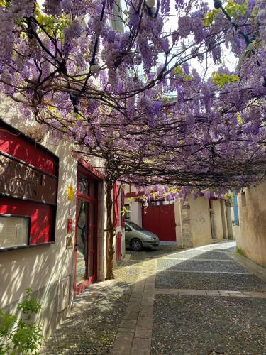 a tunnel of purple flowers hanging over a street at Agréable petit gîte avec jardinet et piscine in Salies-de-Béarn