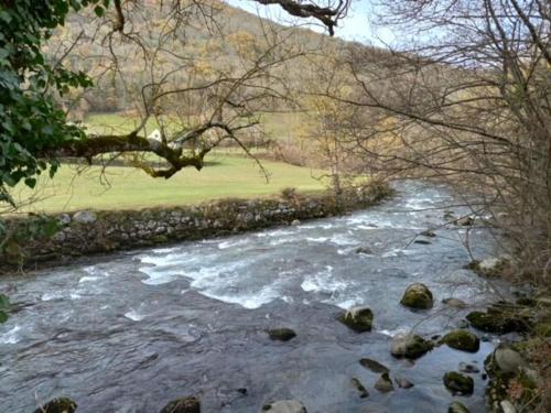 un ruisseau avec des rochers dans une rivière avec des arbres dans l'établissement Appartement Cosy proche St lary et Loudenvielle, à Arreau