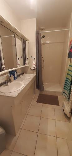 une salle de bain avec un lavabo, une douche et un miroir dans l'établissement Le 47 B&B Single, au Mans