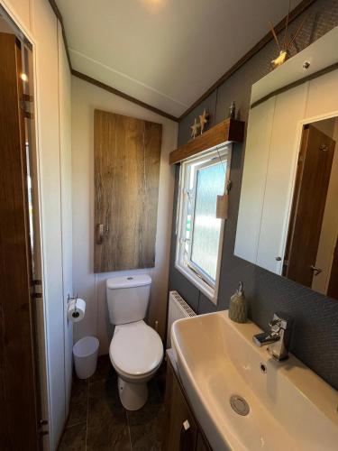 a bathroom with a toilet and a sink and a mirror at Visma Caravan in Llanddwywe