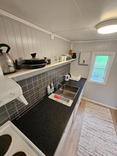 a kitchen with a sink and a counter top at Tørfoss Gård, Hytte utleie, Campingvogn og bobil plasser in Potka