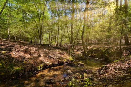 a painting of a forest with a stream at Large Cabin to Enjoy in Coosawattee River Resort in Ellijay