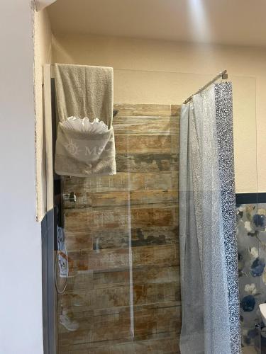 a bathroom with a shower with a wooden wall at Maison Du Bois in Rivarolo Canavese