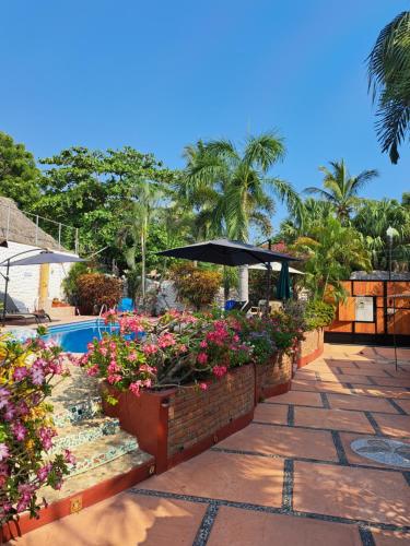 een patio met bloemen en een zwembad bij Hotelito Swiss Oasis -Solo Adultos - Adults only in Puerto Escondido