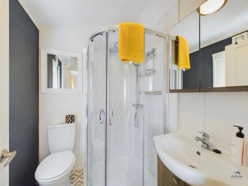 a bathroom with a shower and a toilet and a sink at 7 Medina Rise Family fun for all in Porchfield