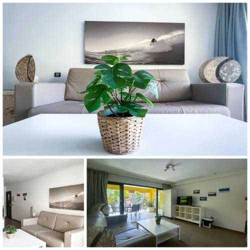 a living room with a couch and a plant at B-Rent Atlantic Garden 181 in Corralejo