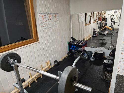 a fitness room with a gym with weights at Miuti Residence in Triberg