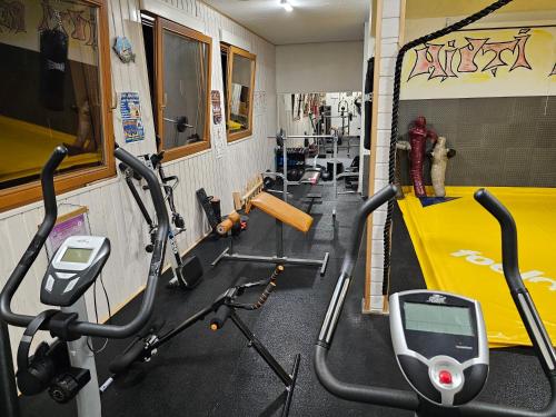 a room with a gym with exercise equipment in it at Miuti Residence in Triberg