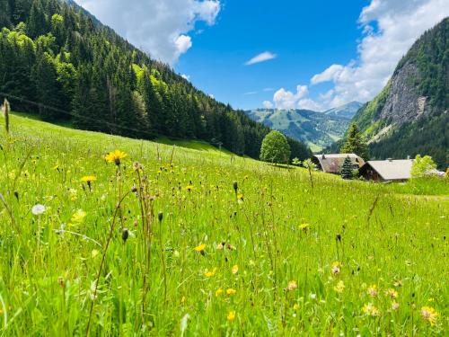 un champ d'herbe verte avec des fleurs dans les montagnes dans l'établissement Chalet Tavernier, à Morzine