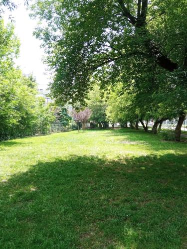 a field of grass with a large shadow of a tree at Airport Apartament Bokserska in Warsaw