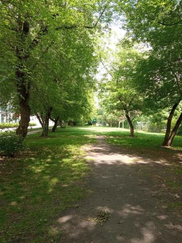a path in a park with trees and grass at Airport Apartament Bokserska in Warsaw