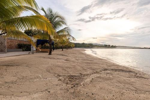a sandy beach with palm trees and the water at serendipity on the beach Ocho Rios in Saint Annʼs Bay