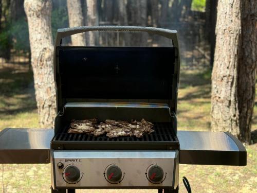 Attrezzature per barbecue disponibili per gli ospiti della villa