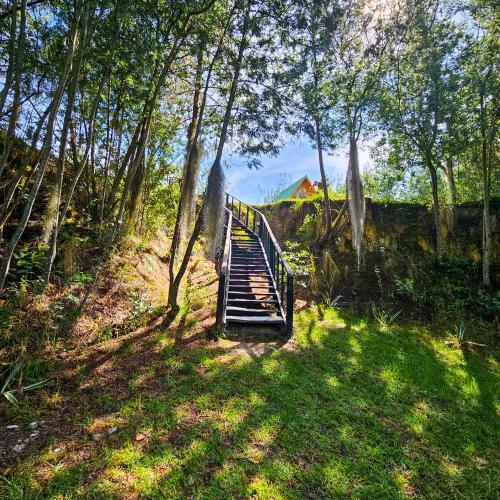 a stairway leading up to a bridge in the grass at Glamping las 4 estaciones in Guatavita