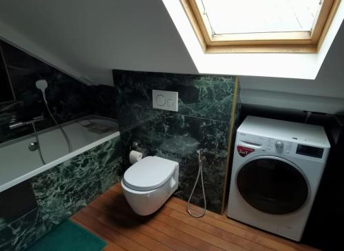 La salle de bains est pourvue de toilettes et d'un lave-linge. dans l'établissement Family duplex apartment Montparnasse St Germain, à Paris