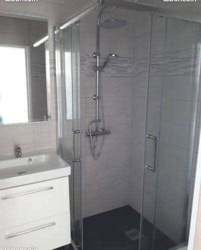 une salle de bain avec une douche en verre et un lavabo dans l'établissement Location vacances T1 indépendant avec piscine privée, à Saint-Mitre-les-Remparts