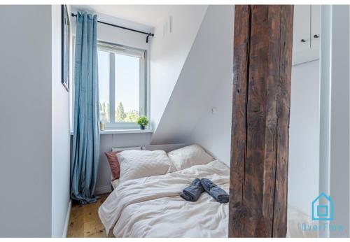 Vaiana Room - 5 Minutes to Gdańsk Old Town