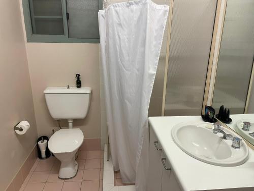 La salle de bains est pourvue de toilettes, d'un lavabo et d'une douche. dans l'établissement Alpine Village Jindabyne, à Jindabyne