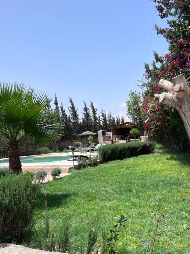 Kebun di luar Villa Essaouira Mogador