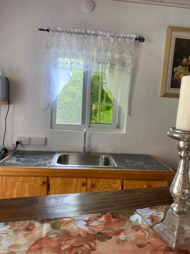 cocina con fregadero y ventana en Cool Breeze Suites, en Union Island