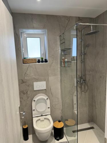 a bathroom with a toilet and a shower at Cozy City Center Apartment in Rhodes Town
