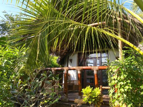 mały domek z palmą przed nim w obiekcie Lala Land Lodge w mieście Kizimkazi