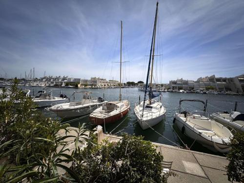 Marina 2 pièces bord de mer, parking privé, 5 pers - FR-1-731-77