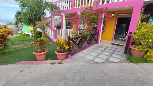 a pink and yellow house with plants in pots at Posada Ashanty in Providencia