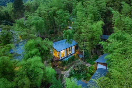 une vue aérienne d'une maison au milieu d'une forêt dans l'établissement 安吉牧云山谷-中式花园民宿, à Anji