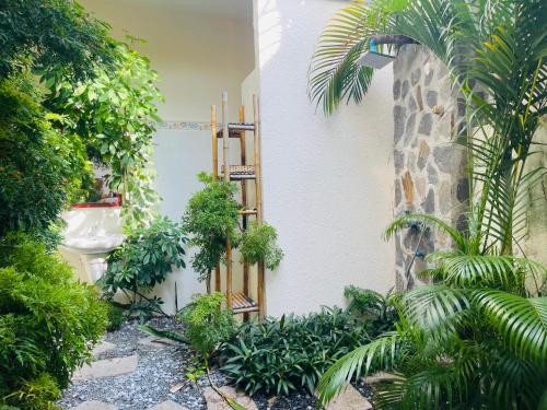 a garden in front of a building with plants at Mui Ne Garden Hotel and Kite School in Mui Ne