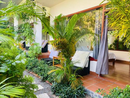 a room with a garden with plants at Mui Ne Garden Hotel and Kite School in Mui Ne