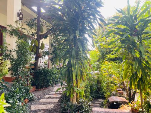 a garden with two large palm trees in a building at Mui Ne Garden Hotel and Kite School in Mui Ne