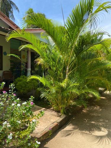 a palm tree in front of a house at Elena Garden Resort and Restaurant in Trincomalee