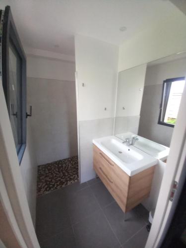 une salle de bain avec un lavabo et une baignoire dans l'établissement Gite de Kerizouarn, à Lampaul-Plouarzel