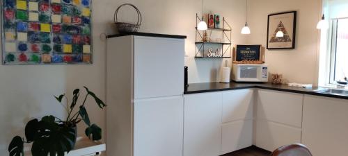 Havhuset I Øster Hurup - i byen, ved strandenにあるキッチンまたは簡易キッチン