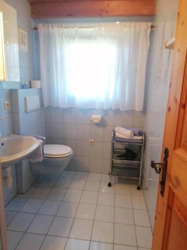 a bathroom with a toilet and a sink at Riedhof in Brandenberg