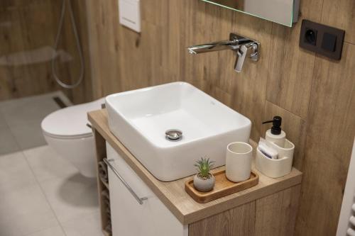 ホルニー・プラナーにあるApartmán Olivaのギャラリーの写真