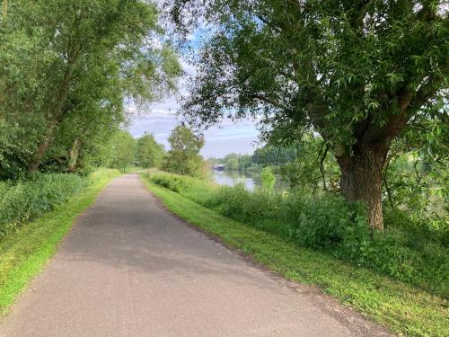 a dirt road next to a tree and a river at Tiny House Le Poulailler in Bousbecque